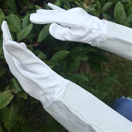 Armor Up with the Best Gardening Gloves for Thorns | OutsideModern